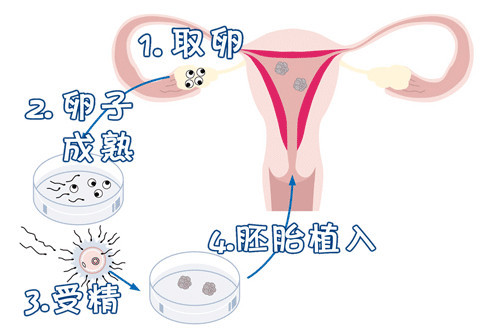 紫韵医疗